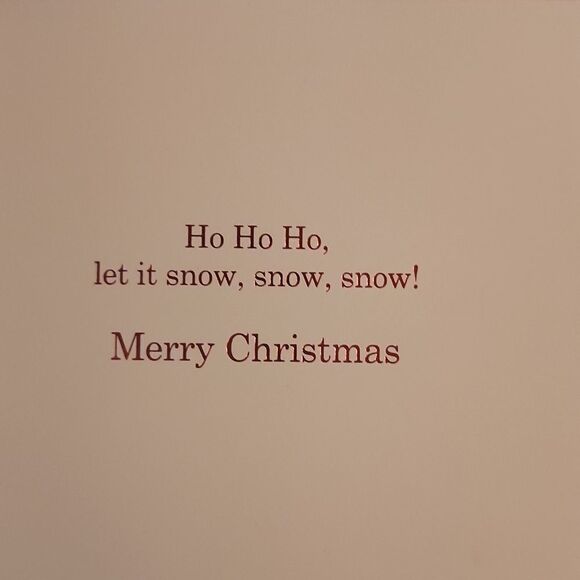 Ho, Ho, Ho, Merry Christmas Cards Set of 30 - Picture 4 of 5